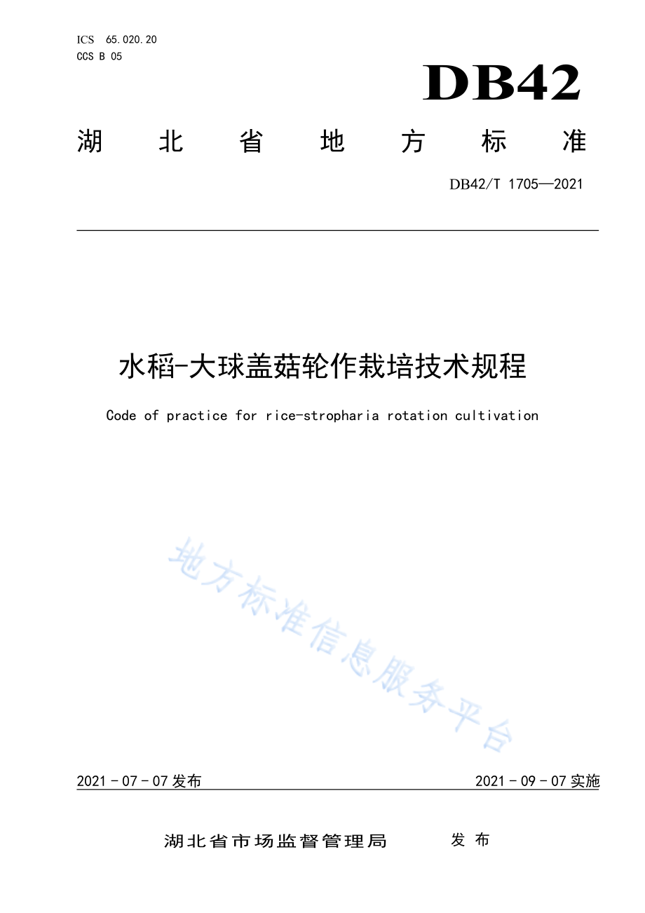 DB42T 1705-2021 水稻-大球盖菇轮作栽培技术规程.pdf_第1页