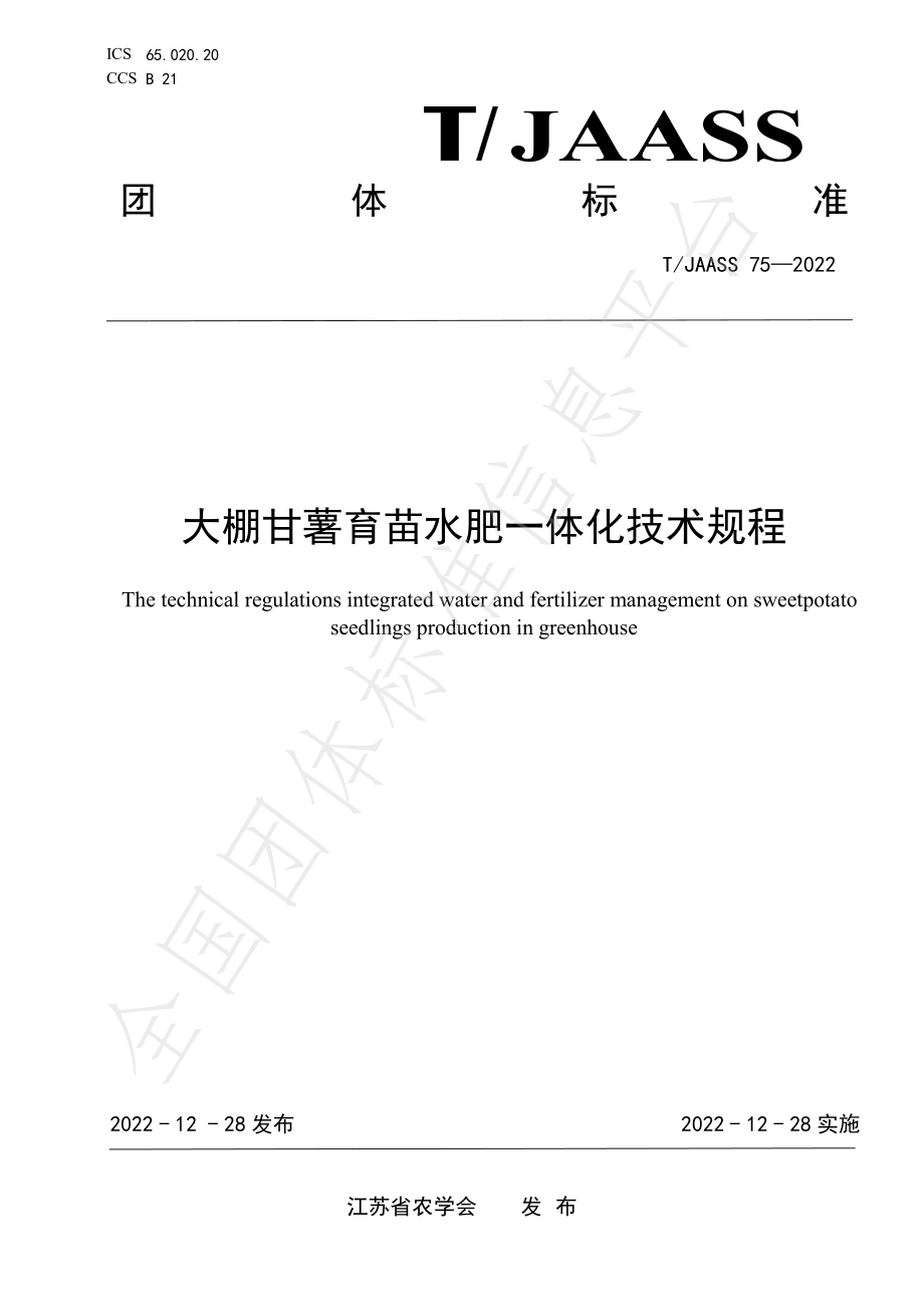 TJAASS 75-2022 大棚甘薯育苗水肥一体化技术规程.pdf_第1页