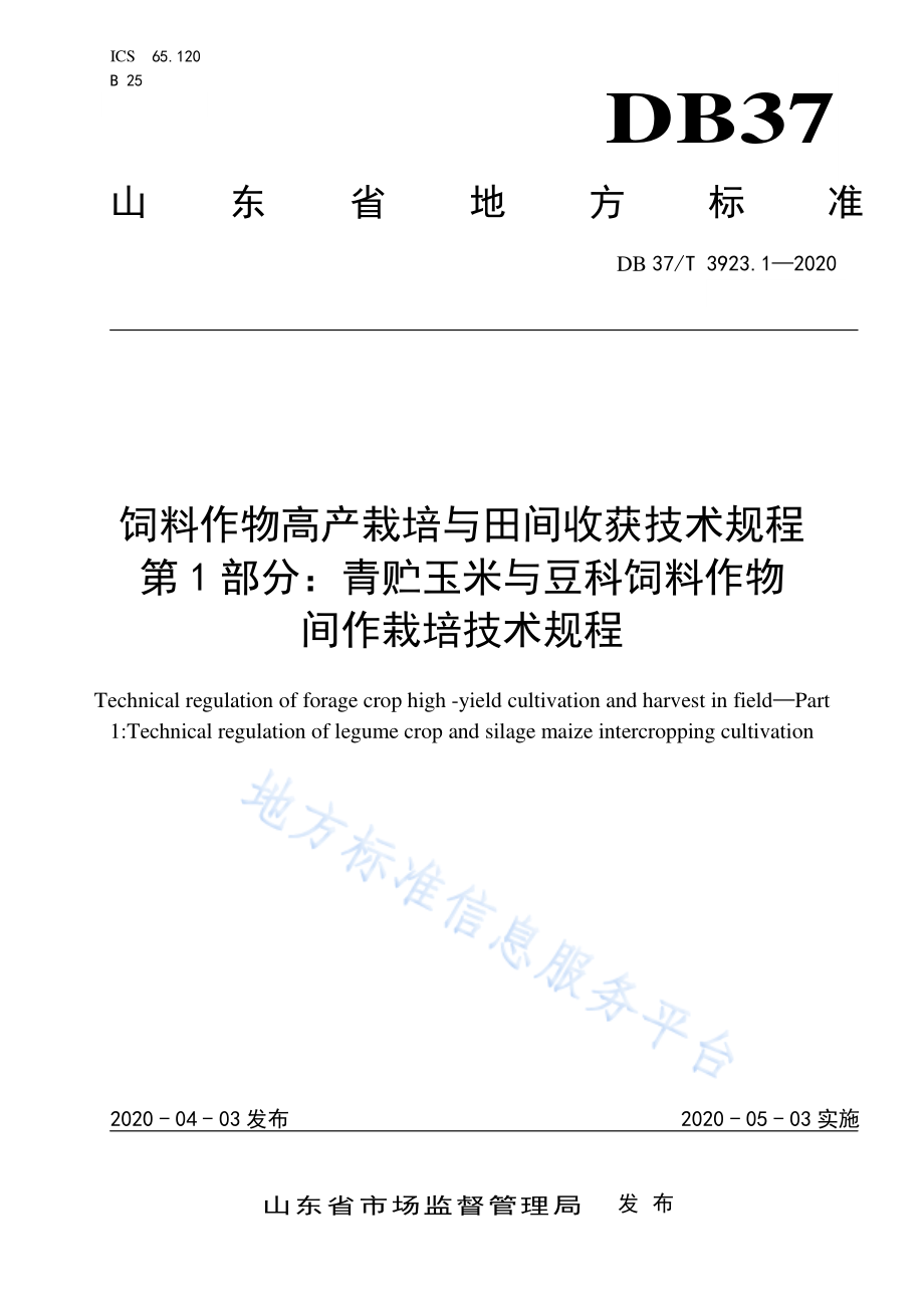 DB37T 3923.1-2020 饲料作物高产栽培与田间收获技术规程 第1部分：青贮玉米与豆科饲料作物间作栽培技术规程.pdf_第1页