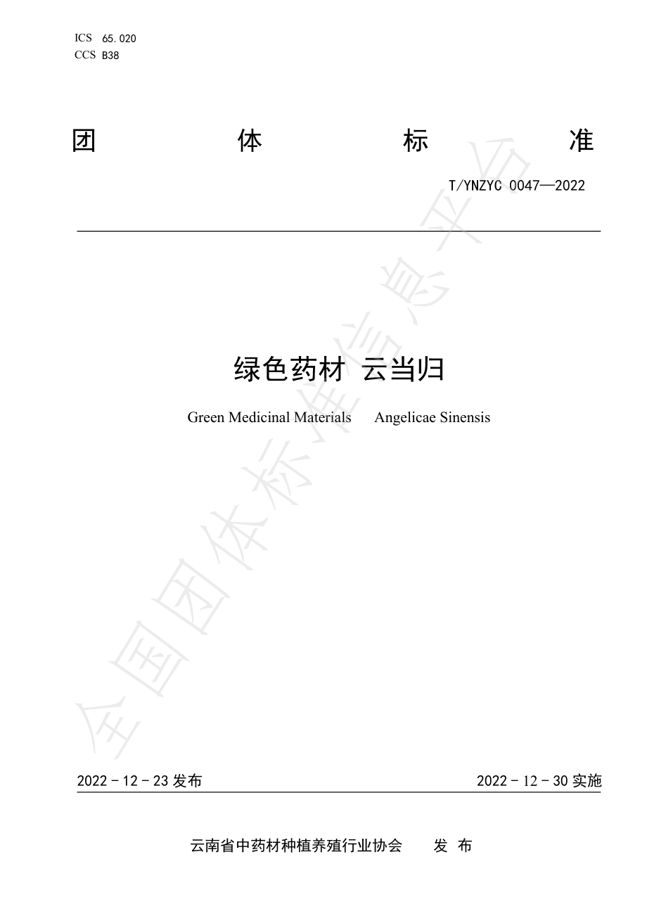 TYNZYC 0047-2022 绿色药材 云当归.pdf_第1页