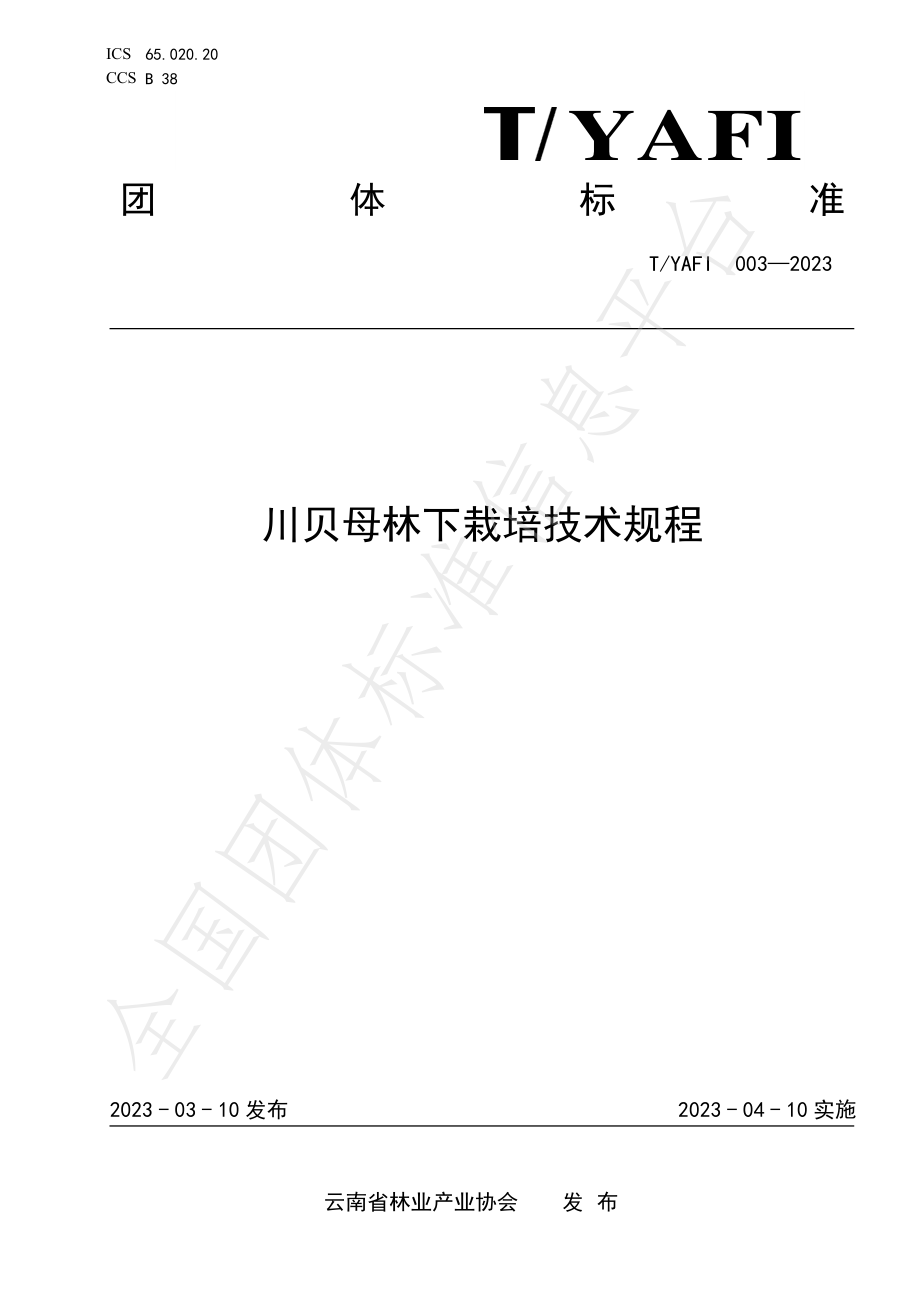 TYAFI 003-2023 川贝母林下栽培技术规程.pdf_第1页