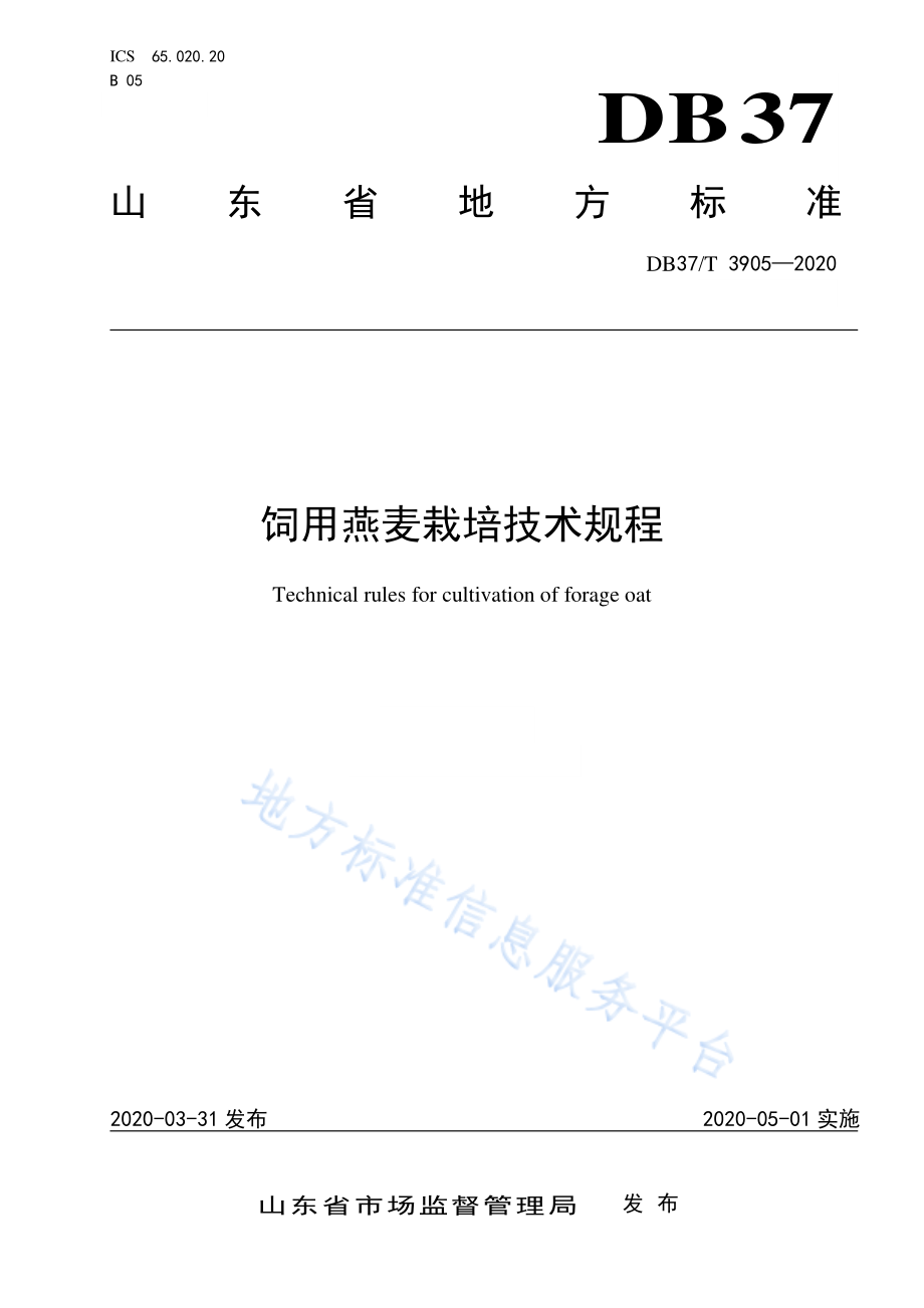 DB37T 3905-2020 饲用燕麦栽培技术规程.pdf_第1页