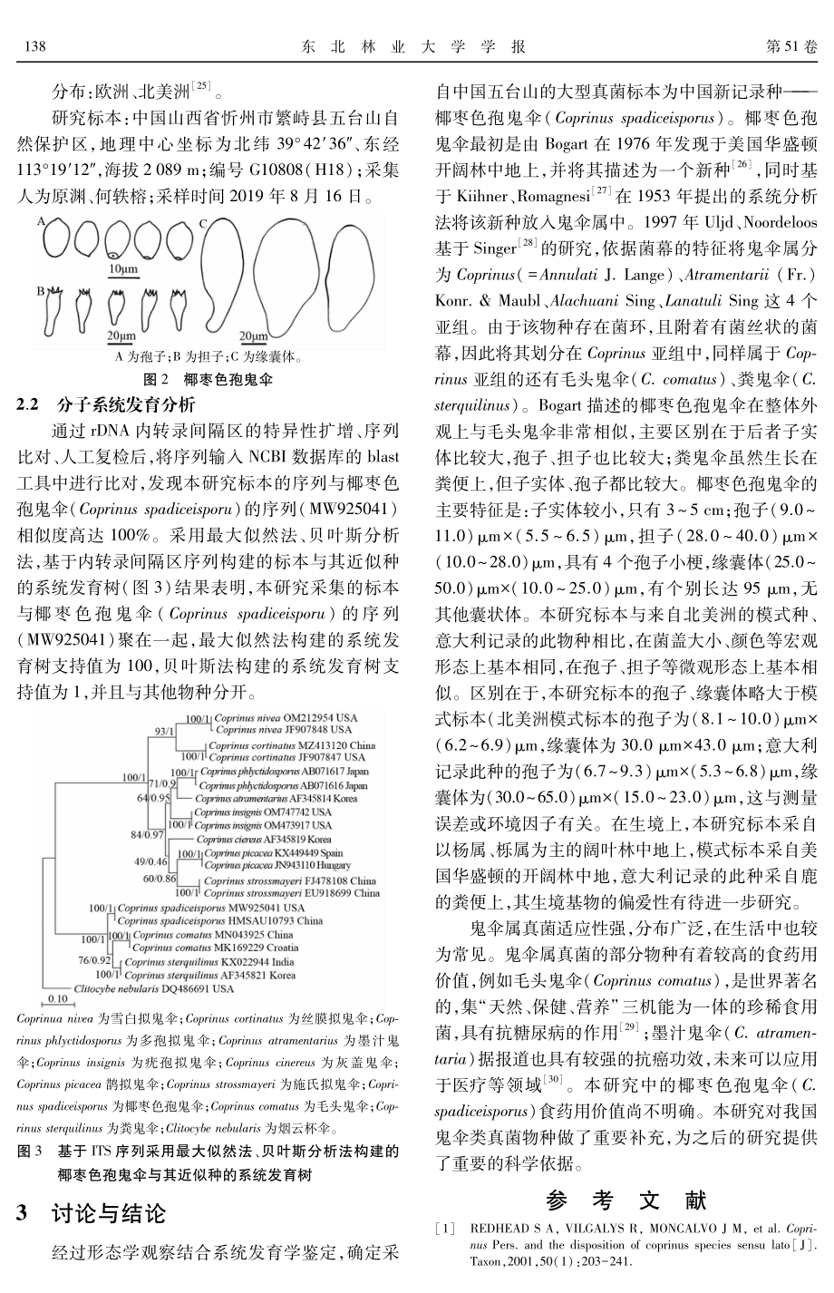 鬼伞属中国新记录种——椰枣色孢鬼伞.pdf_第3页