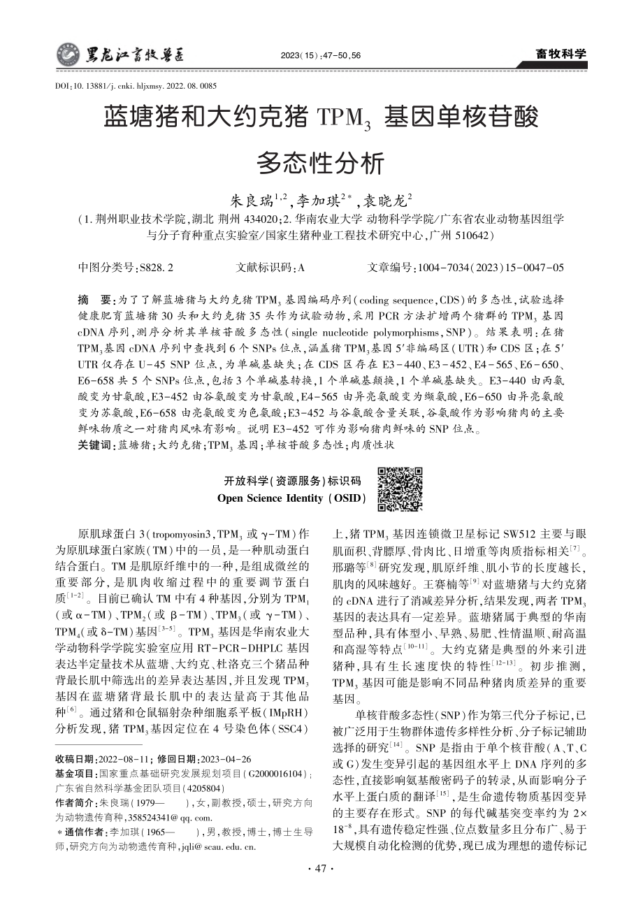 蓝塘猪和大约克猪TPM_3基因单核苷酸多态性分析_朱良瑞.pdf_第1页