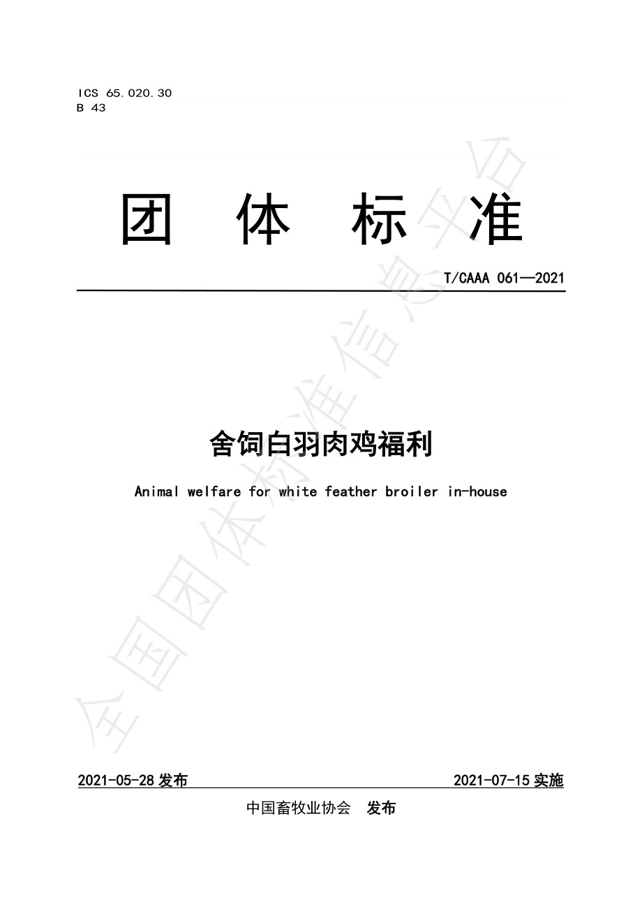 TCAAA 061-2021 舍饲白羽肉鸡福利.pdf_第1页