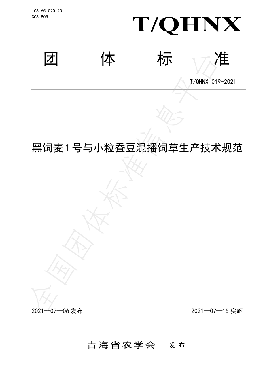 TQHNX 019-2021 黑饲麦1号与小粒蚕豆混播饲草生产技术规范.pdf_第1页