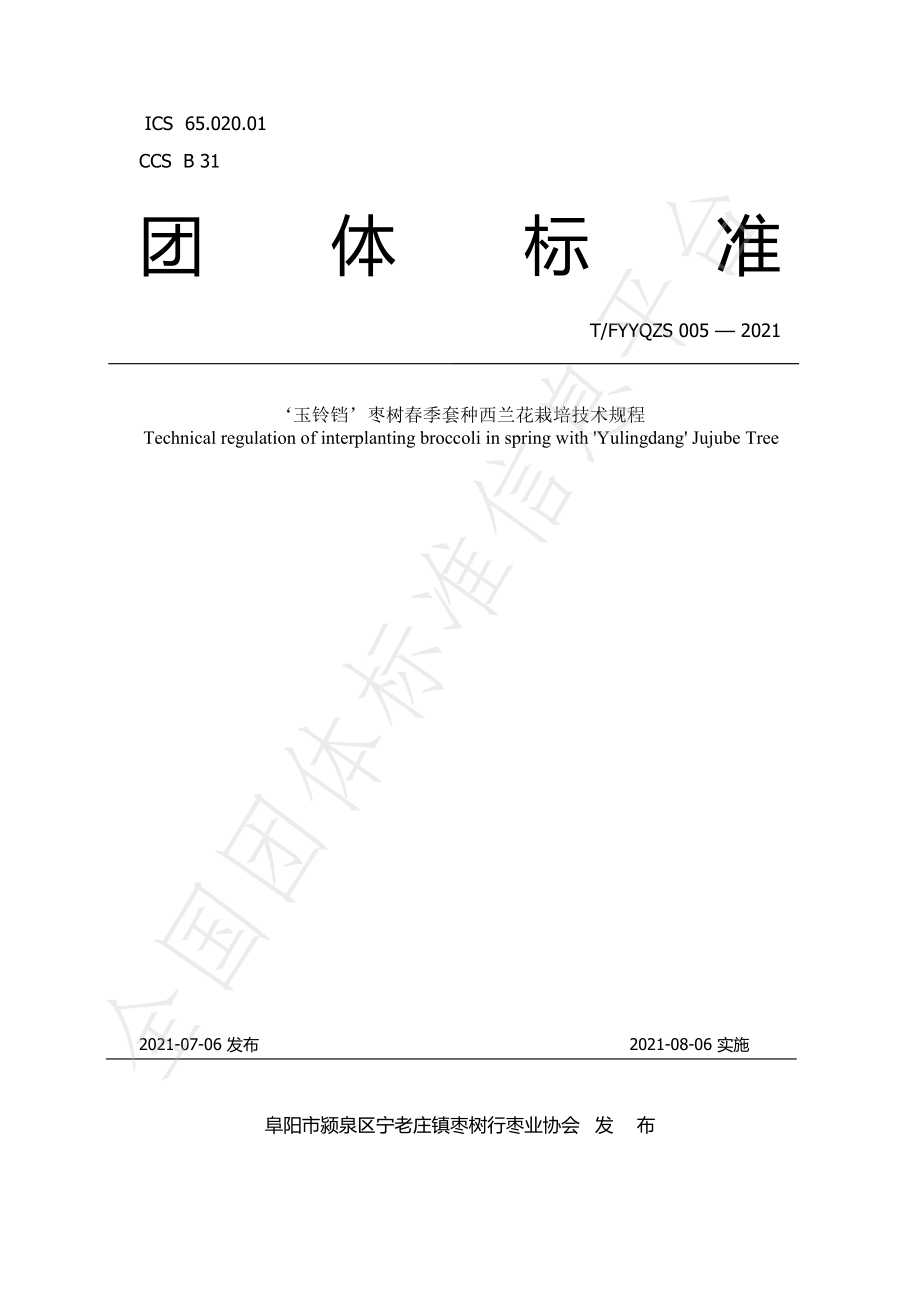 TFYYQZS 005-2021 ‘玉铃铛’枣树春季套种西兰花栽培技术规程.pdf_第1页