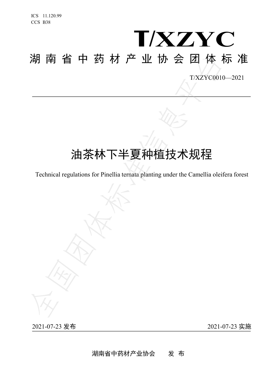 TXZYC 0010-2021 油茶林下半夏种植技术规程.pdf_第1页