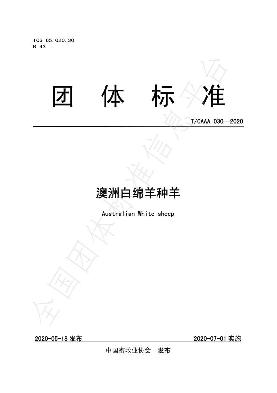 TCAAA 030-2020 澳洲白绵羊种羊.pdf_第1页