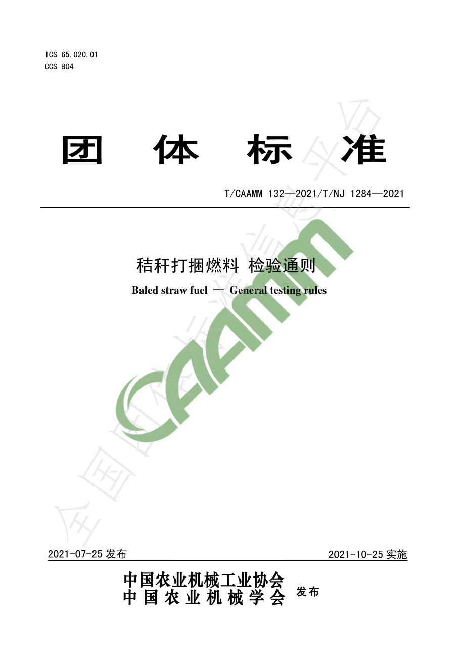 TNJ 1284-2021 秸秆打捆燃料 检验通则.pdf_第1页