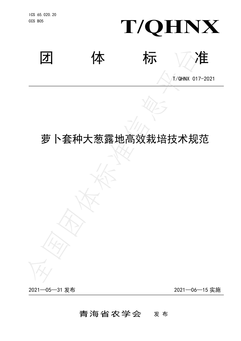 TQHNX 017-2021 萝卜套种大葱露地高效栽培技术规范.pdf_第1页