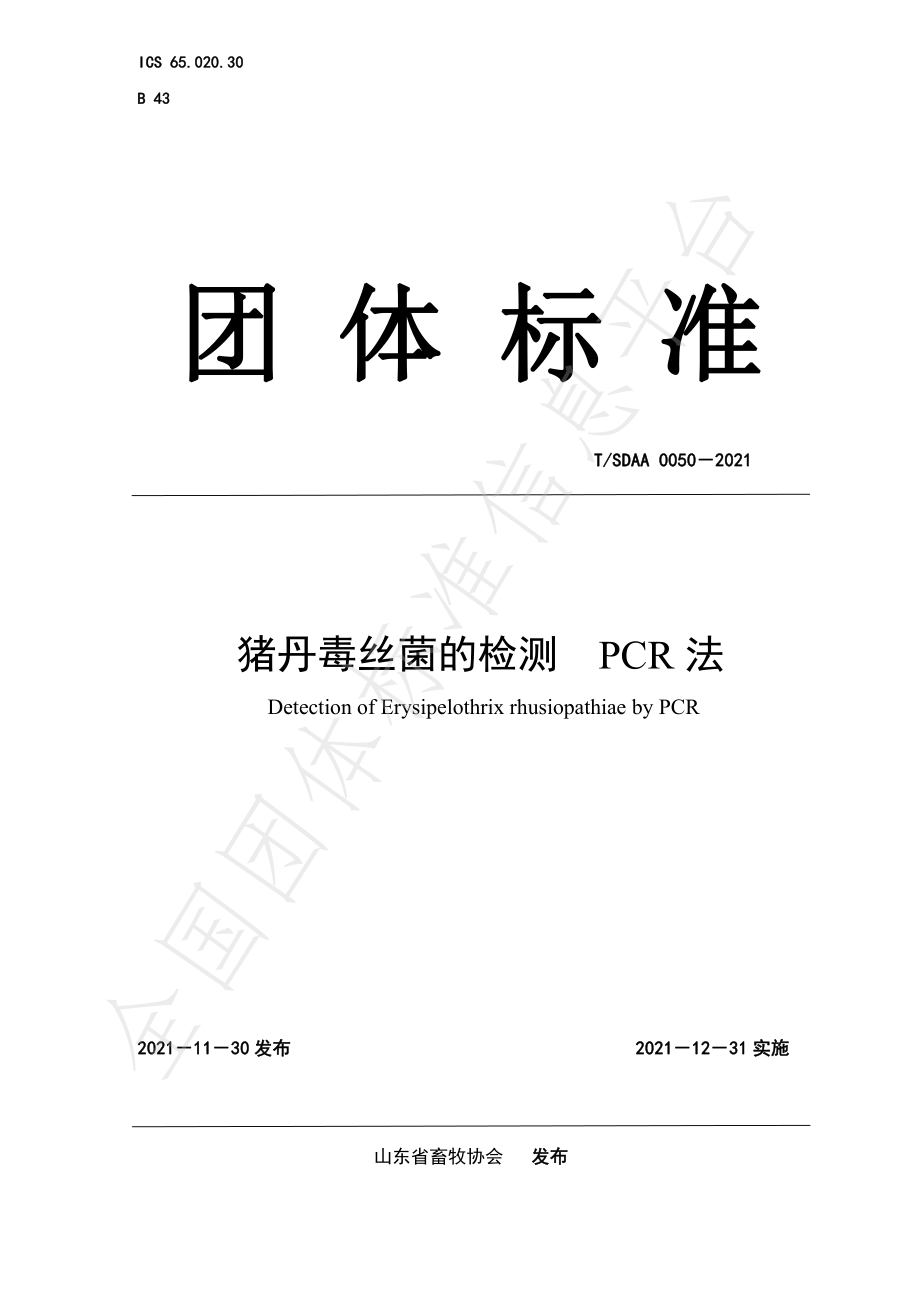 TSDAA 0050-2021 猪丹毒丝菌的检测 PCR法.pdf_第1页