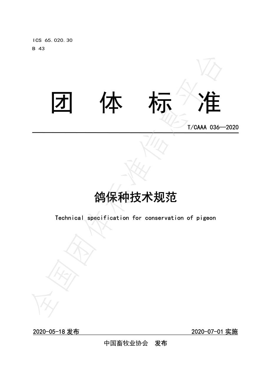 TCAAA 036-2020 鸽保种技术规范.pdf_第1页