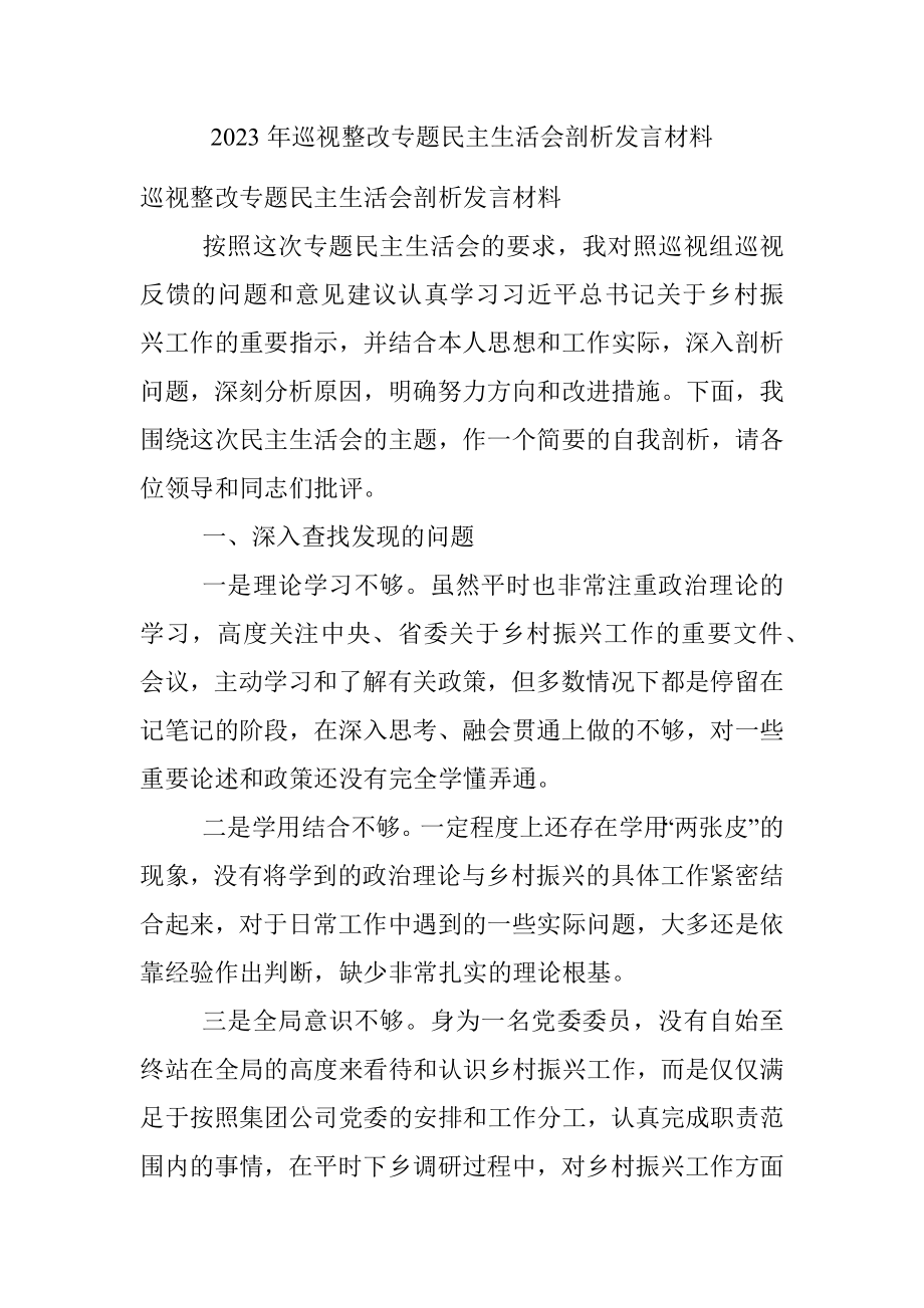 2023年巡视整改专题民主生活会剖析发言材料.docx_第1页