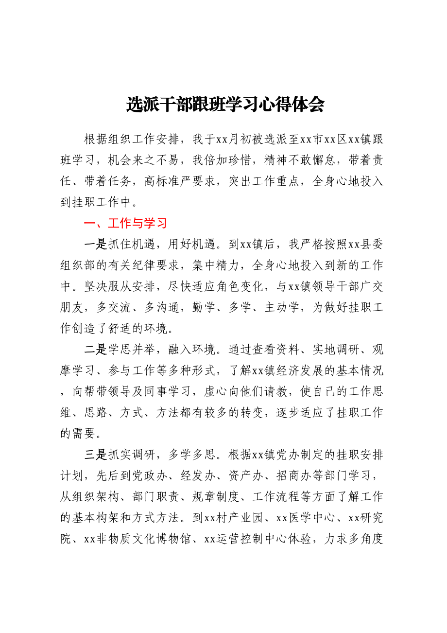 2024年选派干部跟班学习心得体会 (2) .docx_第1页