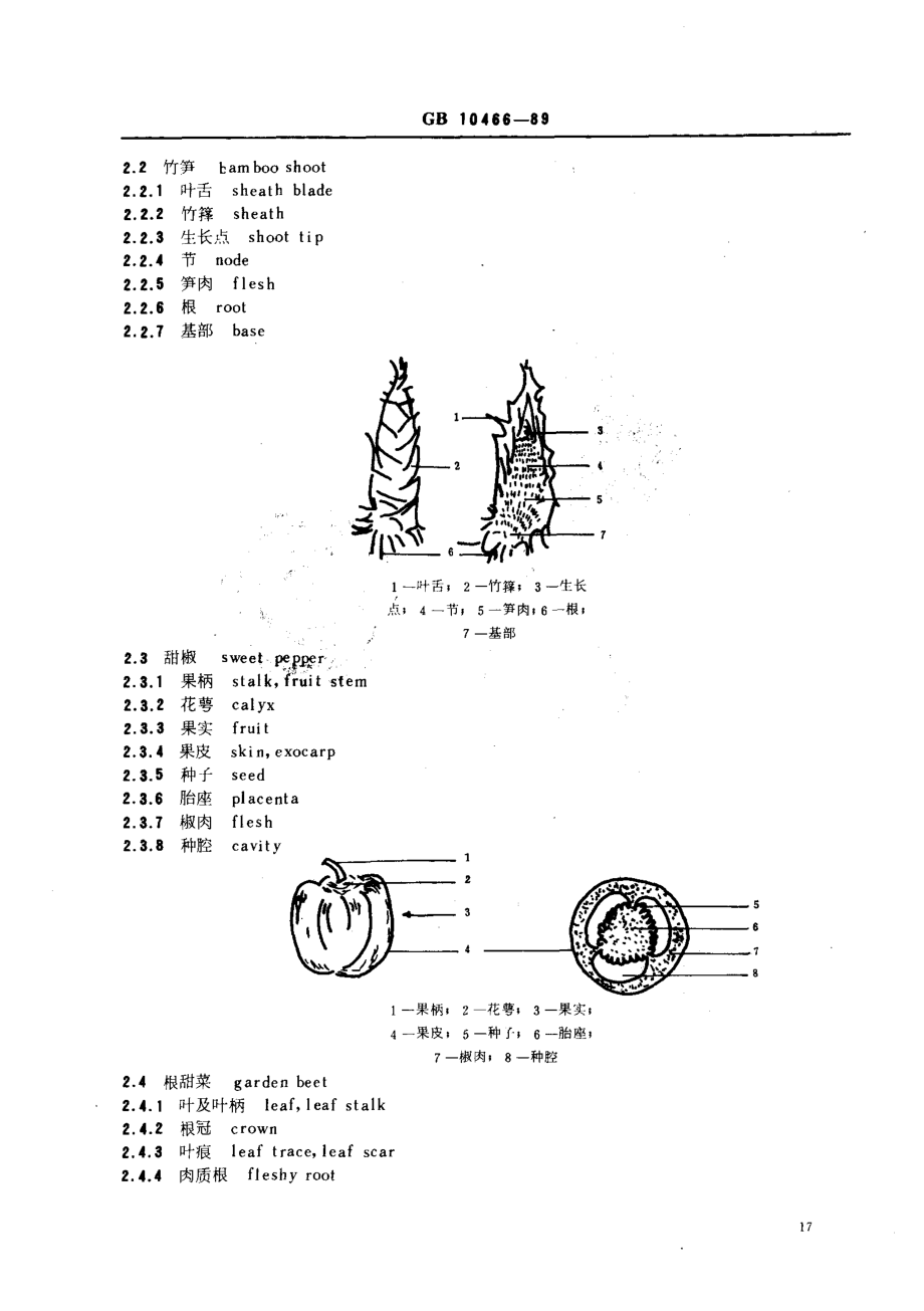 GBT 10466-1989 蔬菜、水果形态学和结构学术语(一).pdf_第2页