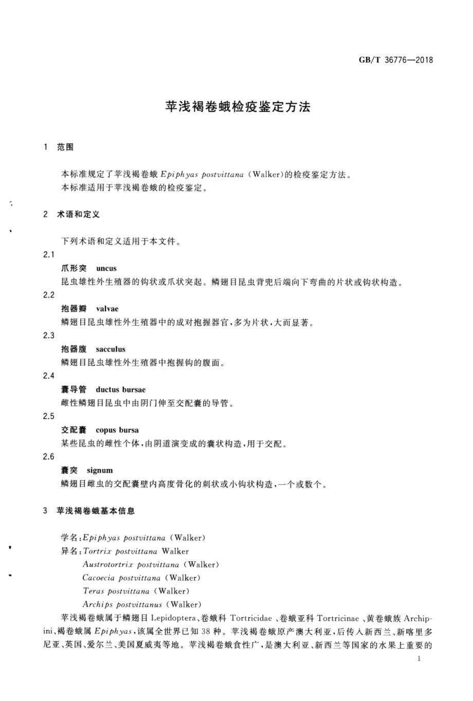 GBT 36776-2018 苹浅褐卷蛾检疫鉴定方法.pdf_第3页