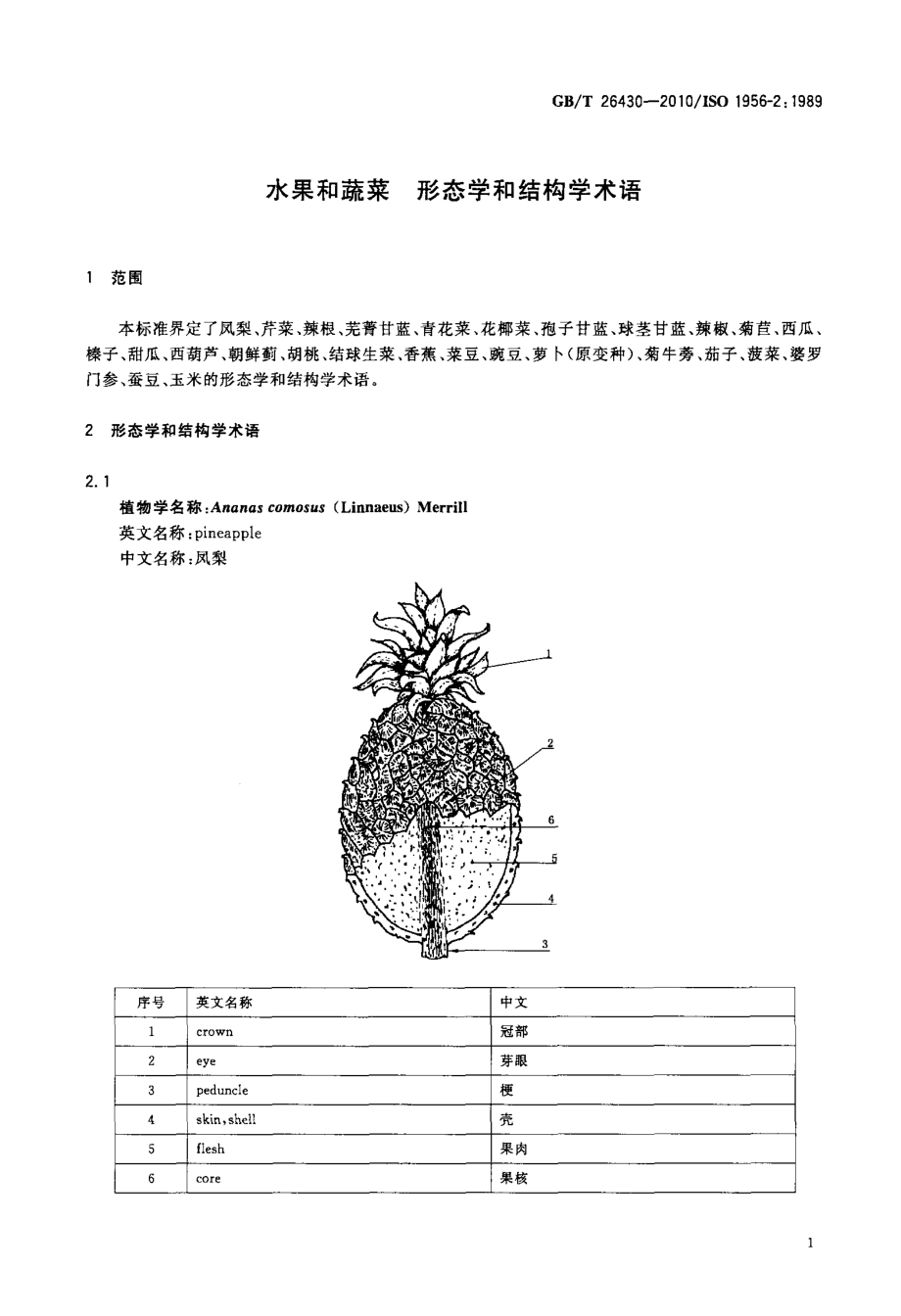 GBT 26430-2010 水果和蔬菜 形态学和结构学术语.pdf_第3页