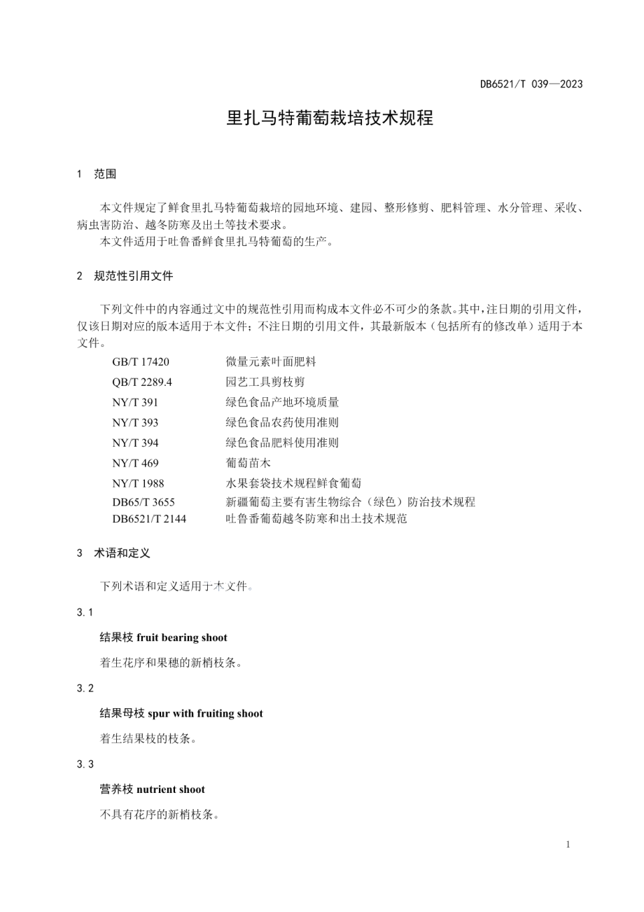 DB6521T 039-2023里扎马特葡萄栽培技术规程.pdf_第3页