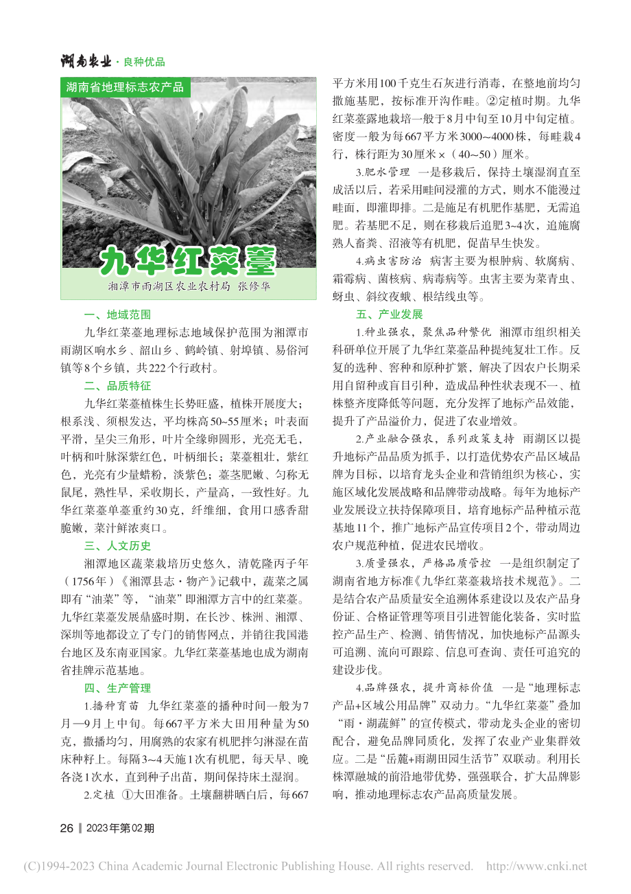 九华红菜薹_张修华.pdf_第1页