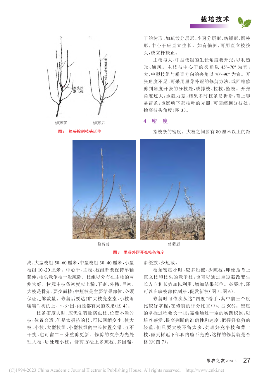 梨树“四度”修剪法_刘军.pdf_第2页