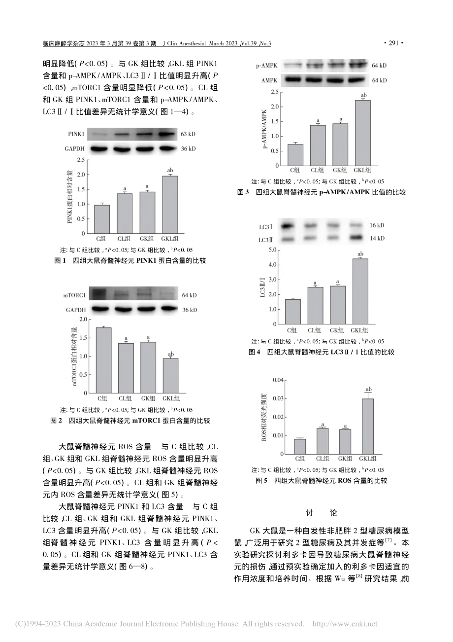 利多卡因对糖尿病大鼠脊髓神经元的损伤作用_樊晨璐.pdf_第3页