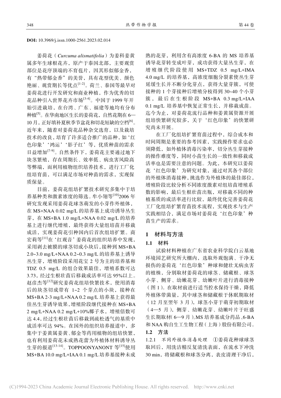 姜荷花‘红色印象’工厂化组培育苗技术研究_谭健俊.pdf_第2页