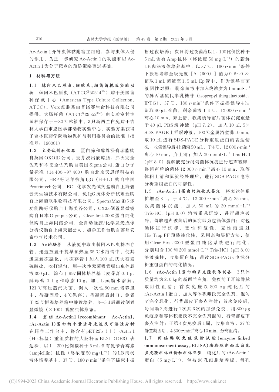 卡氏棘阿米巴肌动蛋白1的免疫学特性和细胞黏附功能_李晶.pdf_第3页