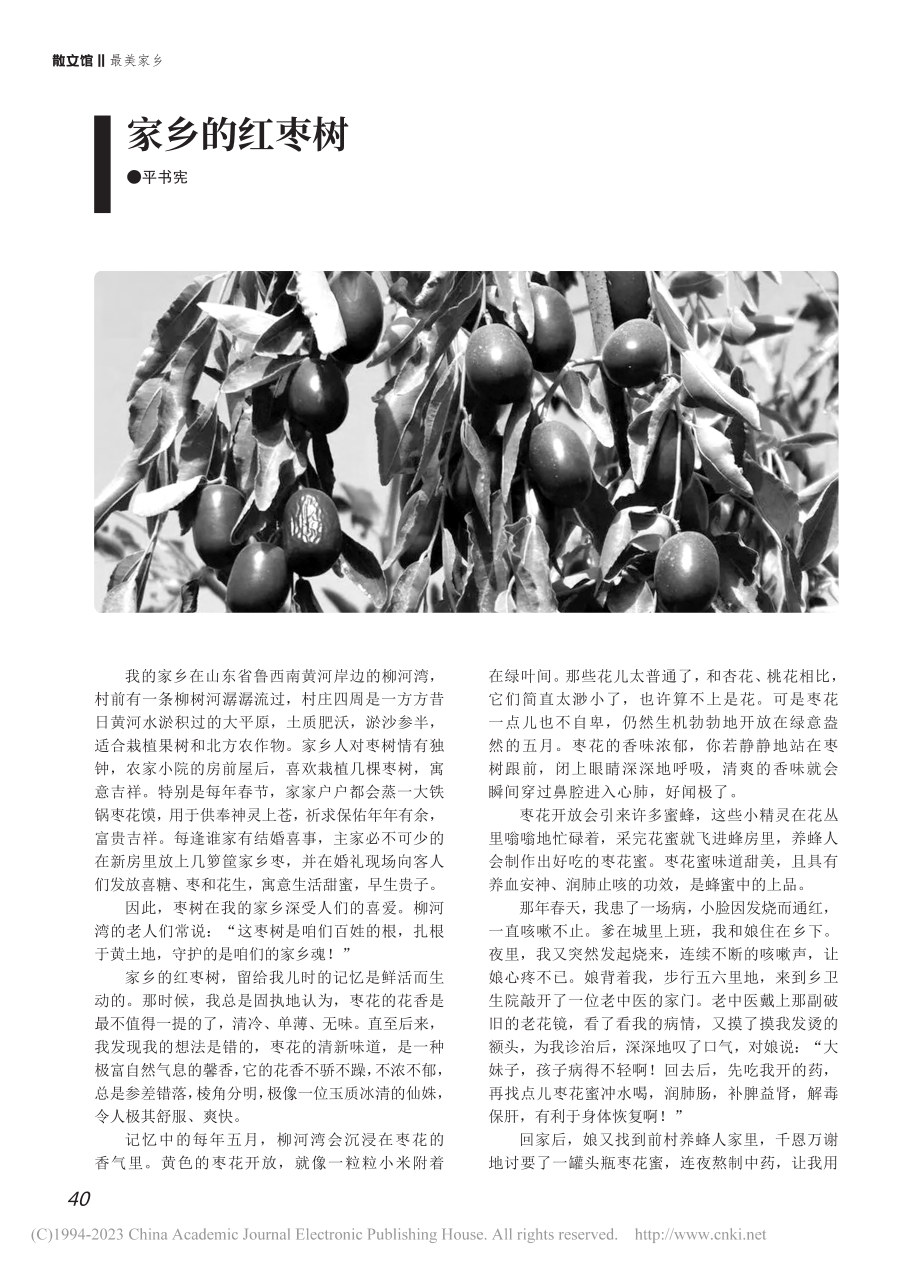 家乡的红枣树_平书宪.pdf_第1页