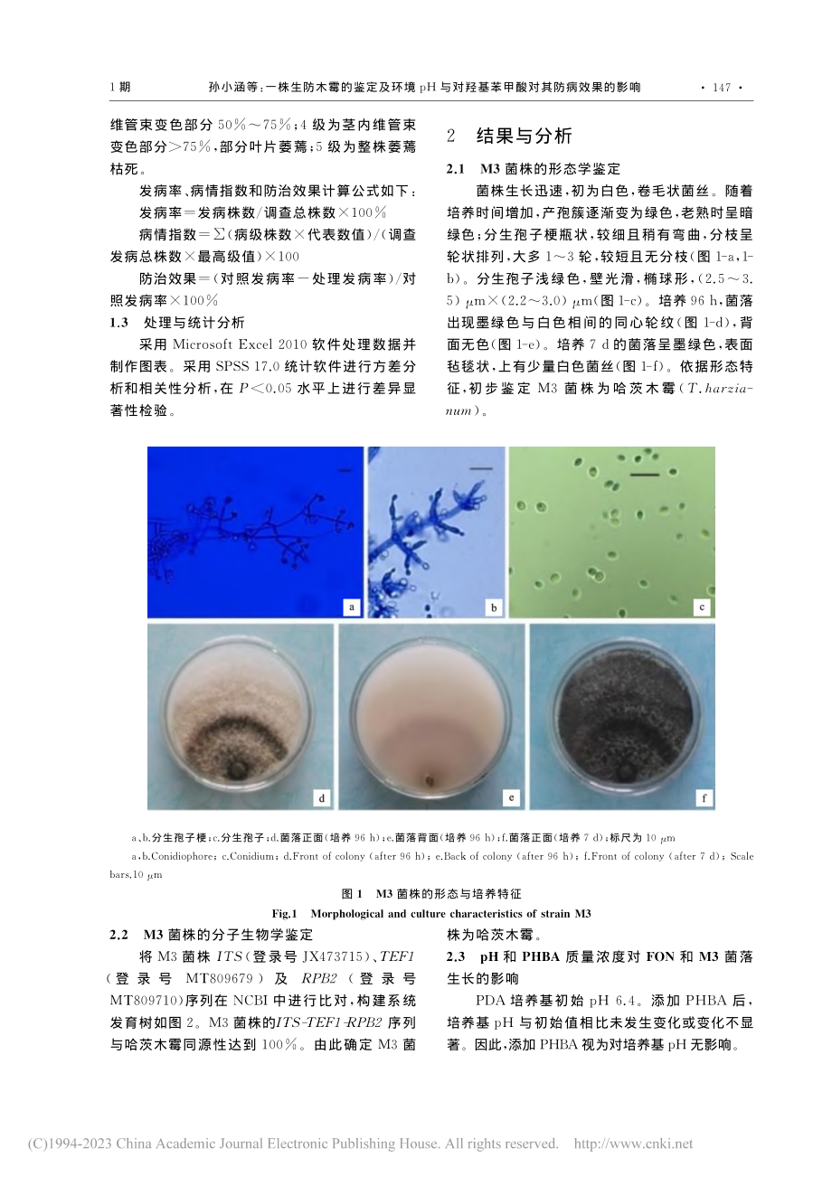 一株生防木霉的鉴定及环境p...基苯甲酸对其防病效果的影响_孙小涵.pdf_第3页