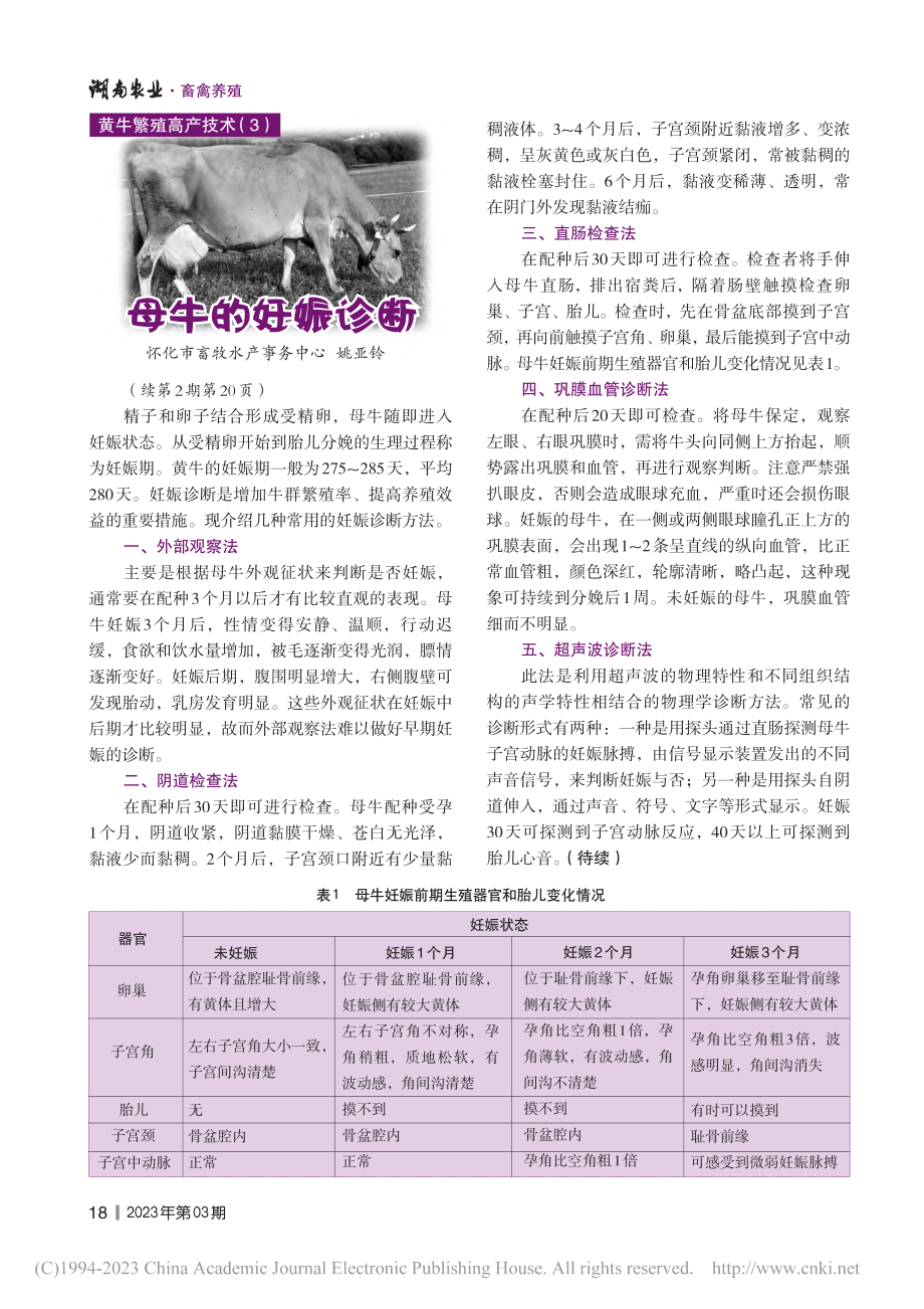 母牛的妊娠诊断_姚亚铃.pdf_第1页