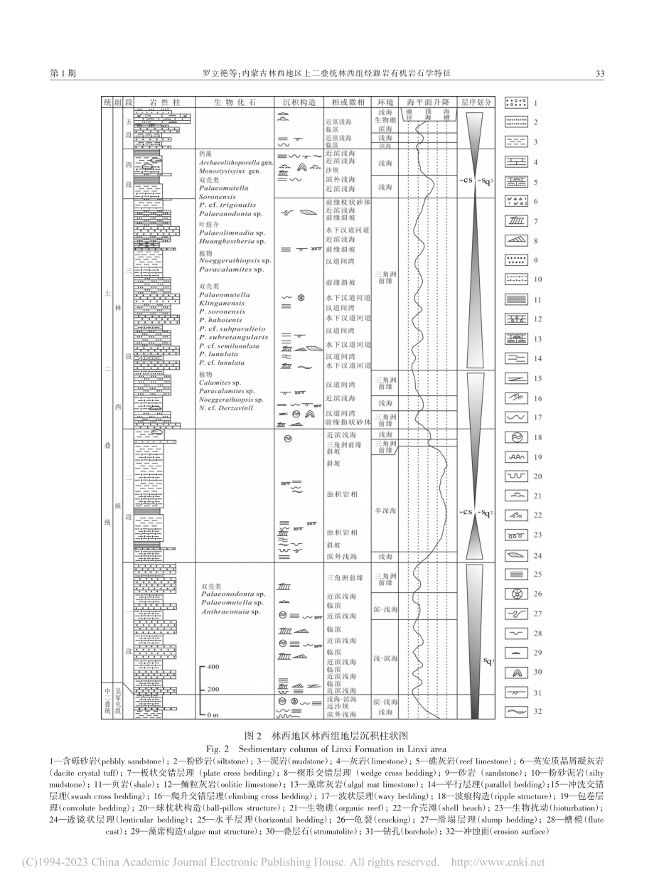 内蒙古林西地区上二叠统林西组烃源岩有机岩石学特征_罗立艳.pdf_第3页