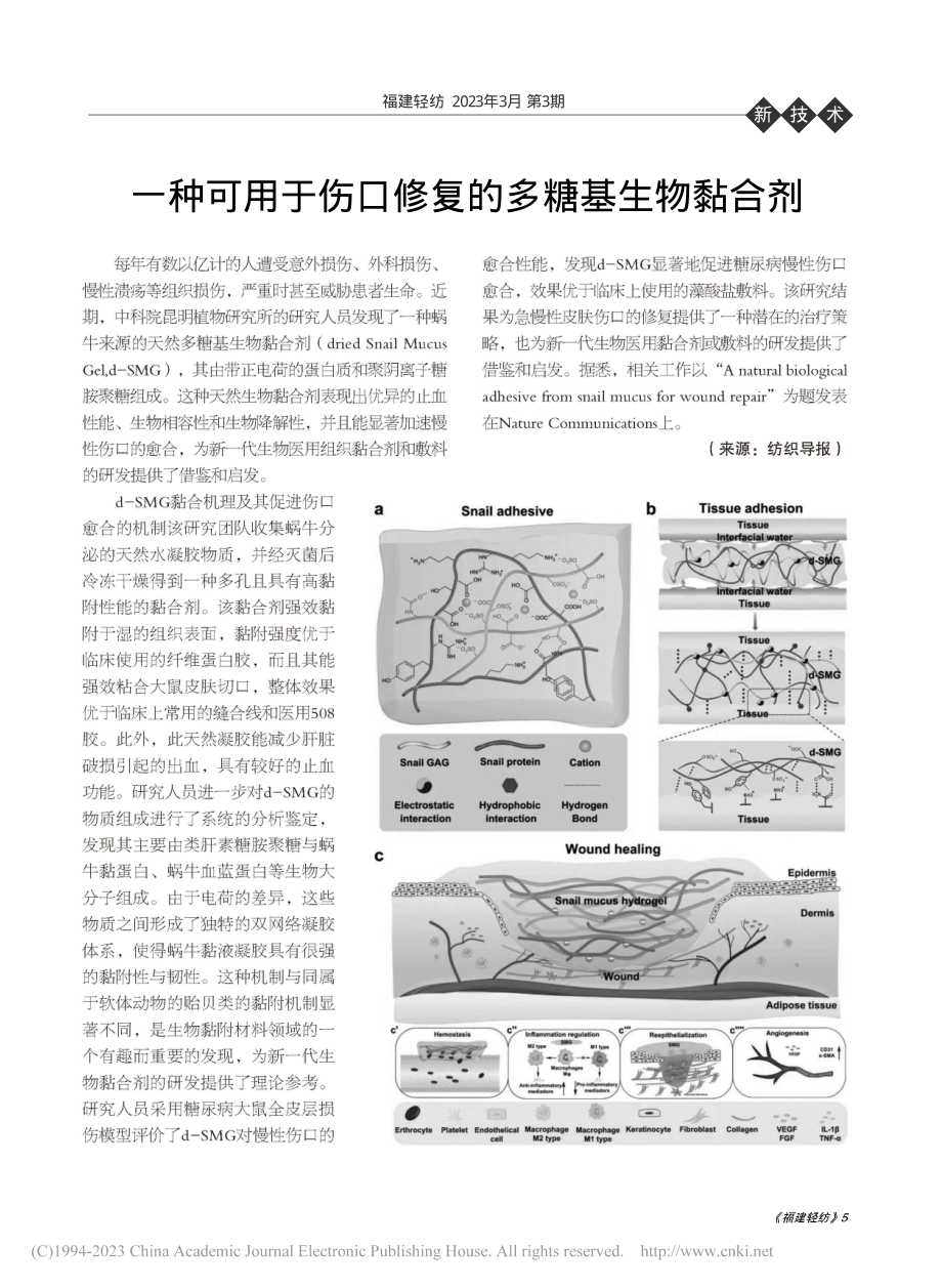 一种可用于伤口修复的多糖基生物黏合剂.pdf_第1页