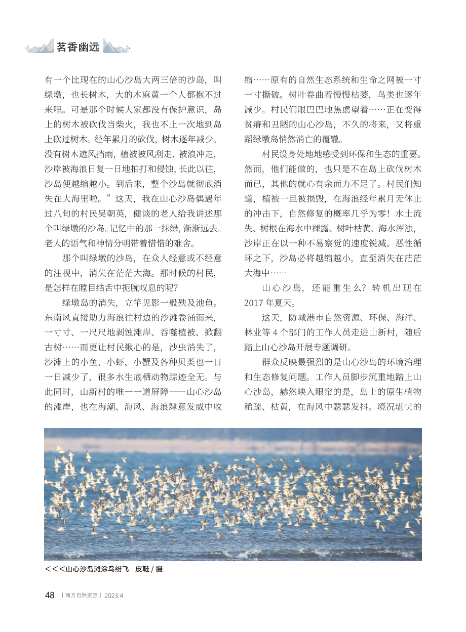 沙岛重生记_徐仁海.pdf_第2页