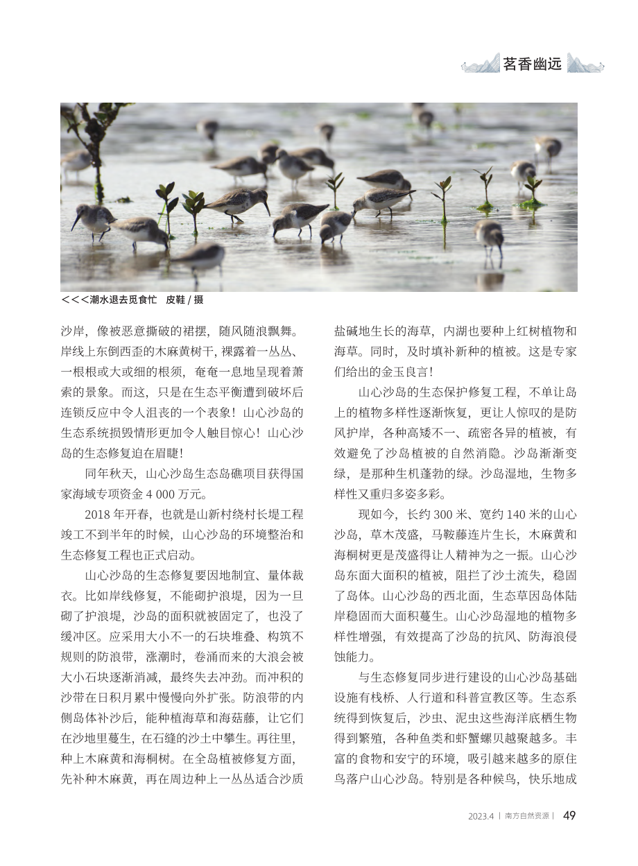 沙岛重生记_徐仁海.pdf_第3页