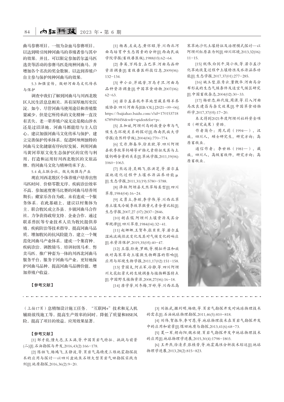 山地页岩气经济有效的三维地震采集配套技术研究与应用_张妍.pdf_第3页