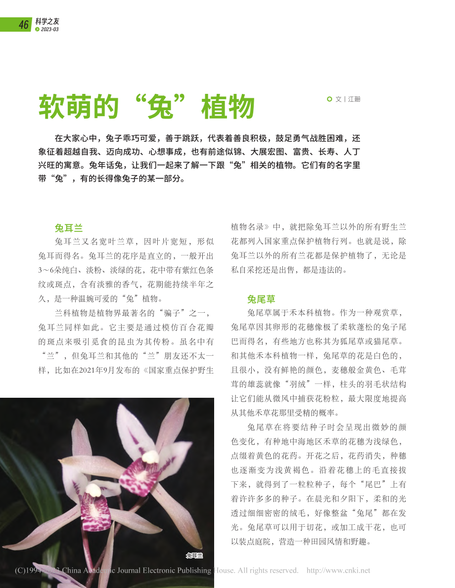 软萌的“兔”植物_江珊.pdf_第1页