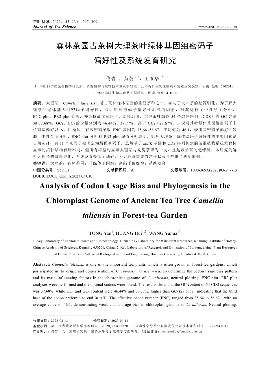 森林茶园古茶树大理茶叶绿体...密码子偏好性及系统发育研究_佟岩.pdf_第1页