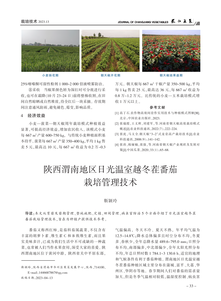 陕西渭南地区日光温室越冬茬番茄栽培管理技术_靳颖玲.pdf_第1页