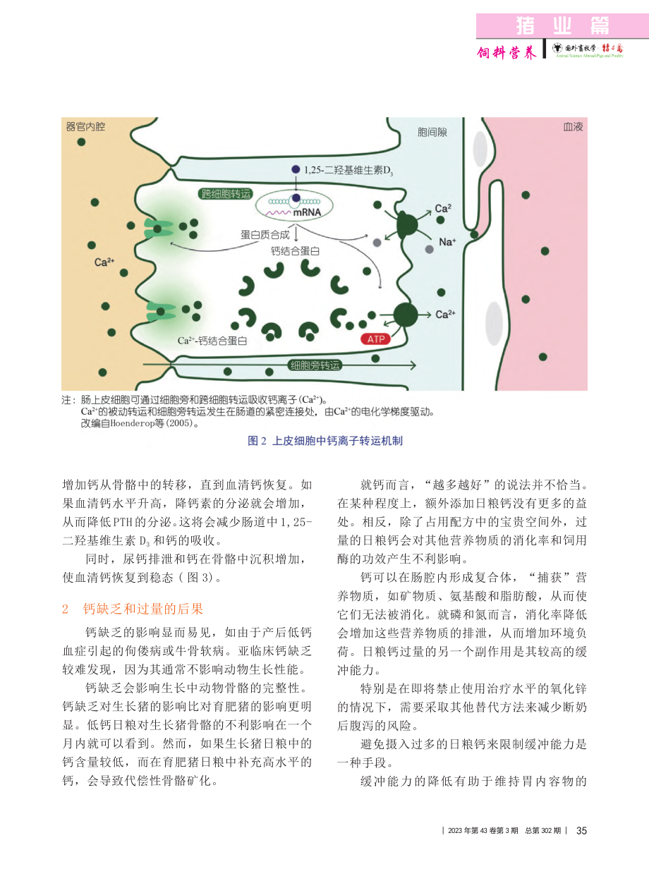 如何有效平衡_日粮中被低估的钙含量_王丽萍_.pdf_第2页