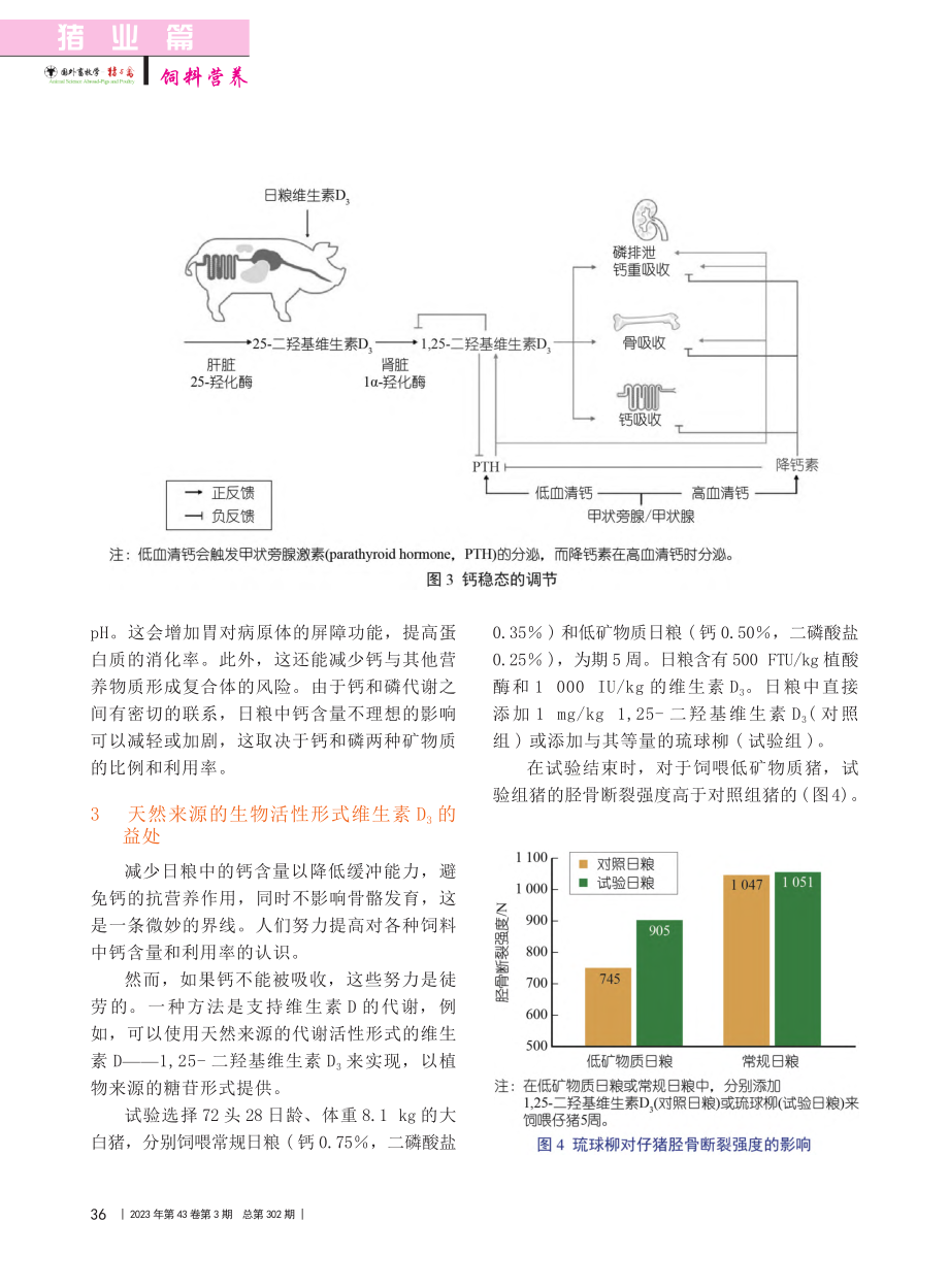 如何有效平衡_日粮中被低估的钙含量_王丽萍_.pdf_第3页