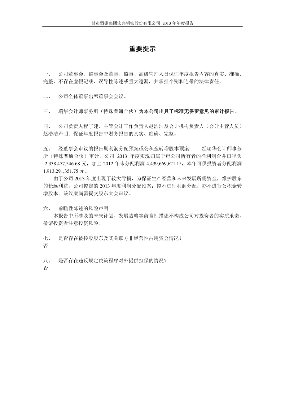 600307_2013_酒钢宏兴_2013年年度报告_2014-03-31.pdf_第2页