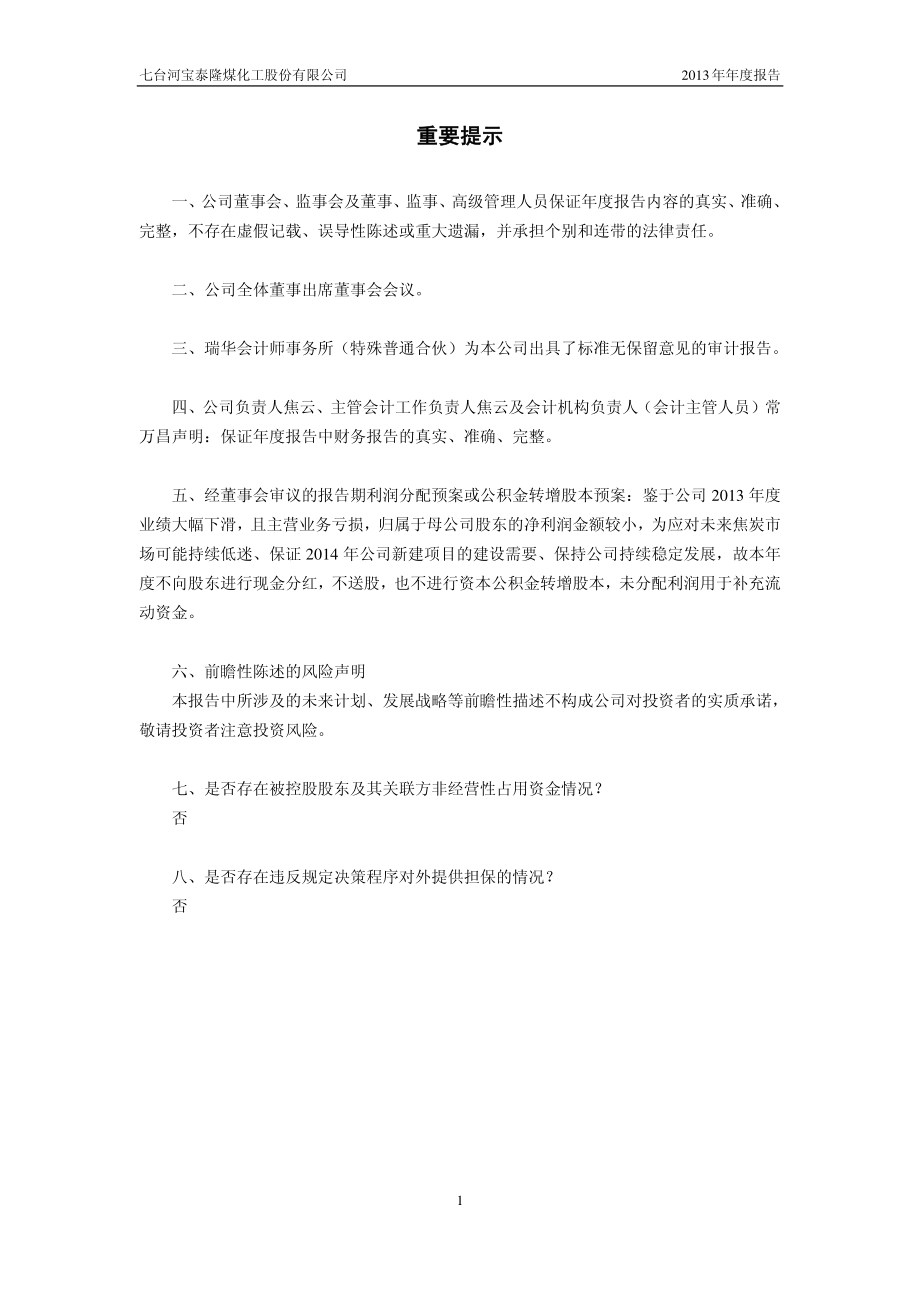 601011_2013_宝泰隆_2013年年度报告_2014-03-24.pdf_第2页