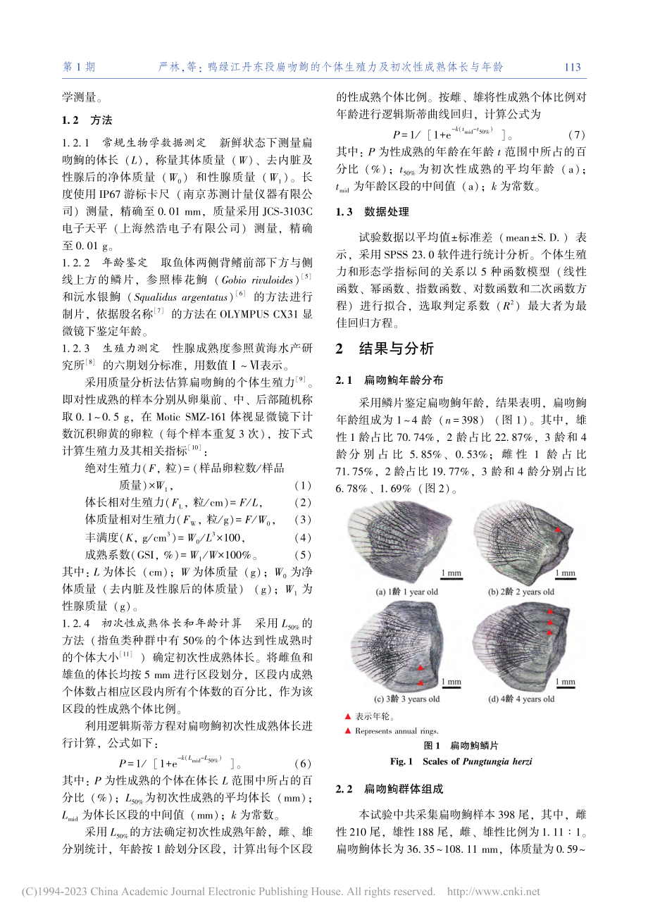 鸭绿江丹东段扁吻鮈的个体生殖力及初次性成熟体长与年龄_严林.pdf_第2页