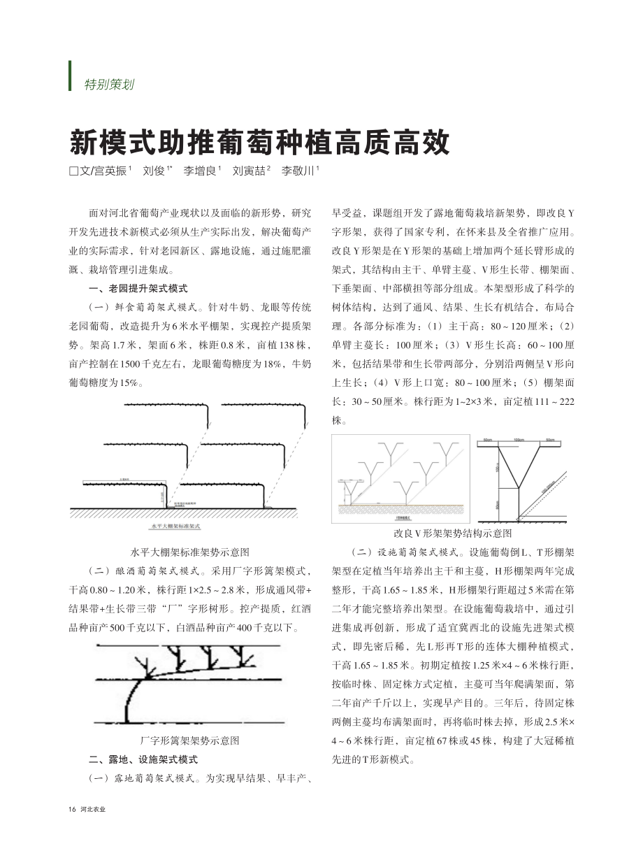 新模式助推葡萄种植高质高效.pdf_第1页