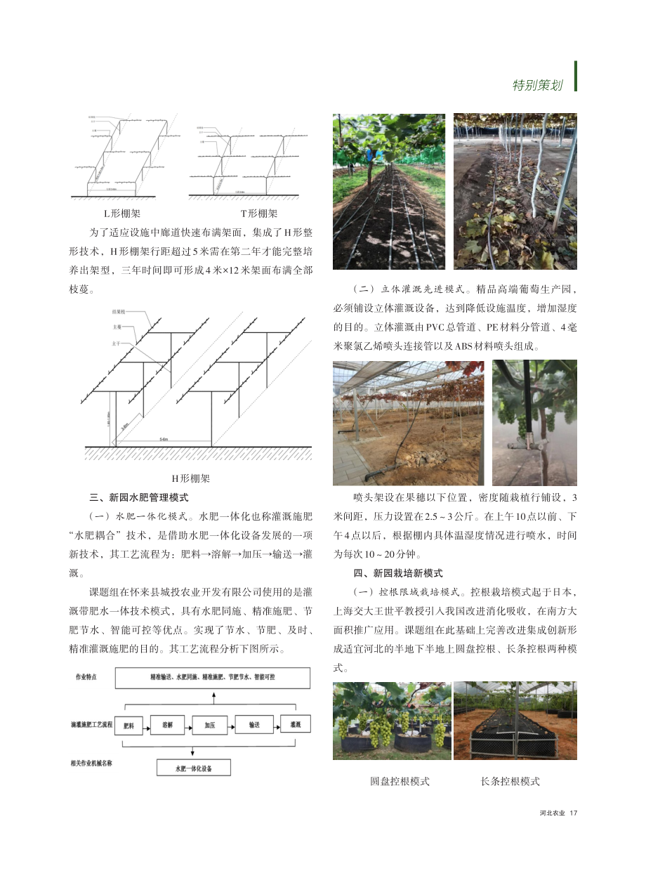 新模式助推葡萄种植高质高效.pdf_第2页