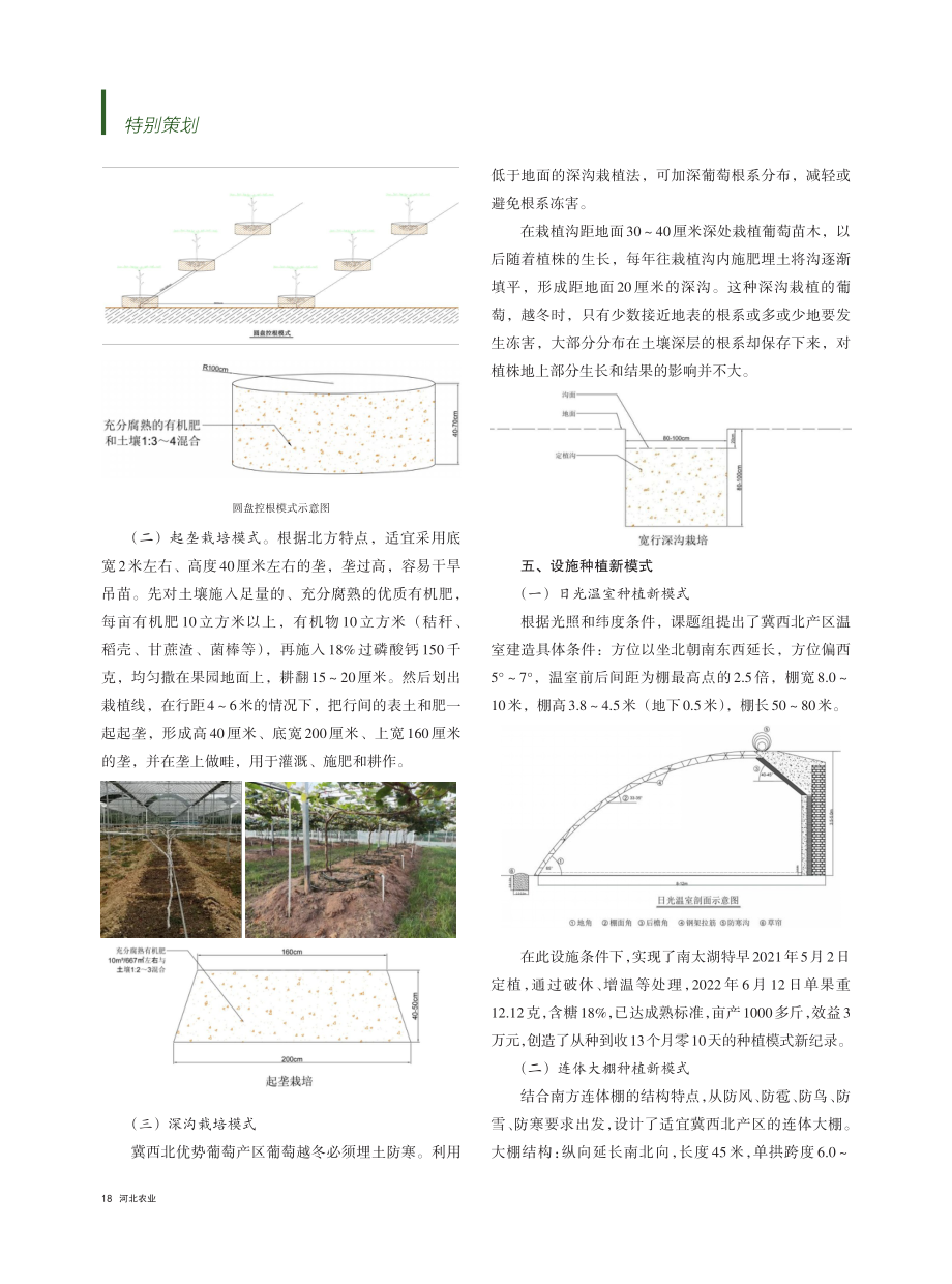 新模式助推葡萄种植高质高效.pdf_第3页