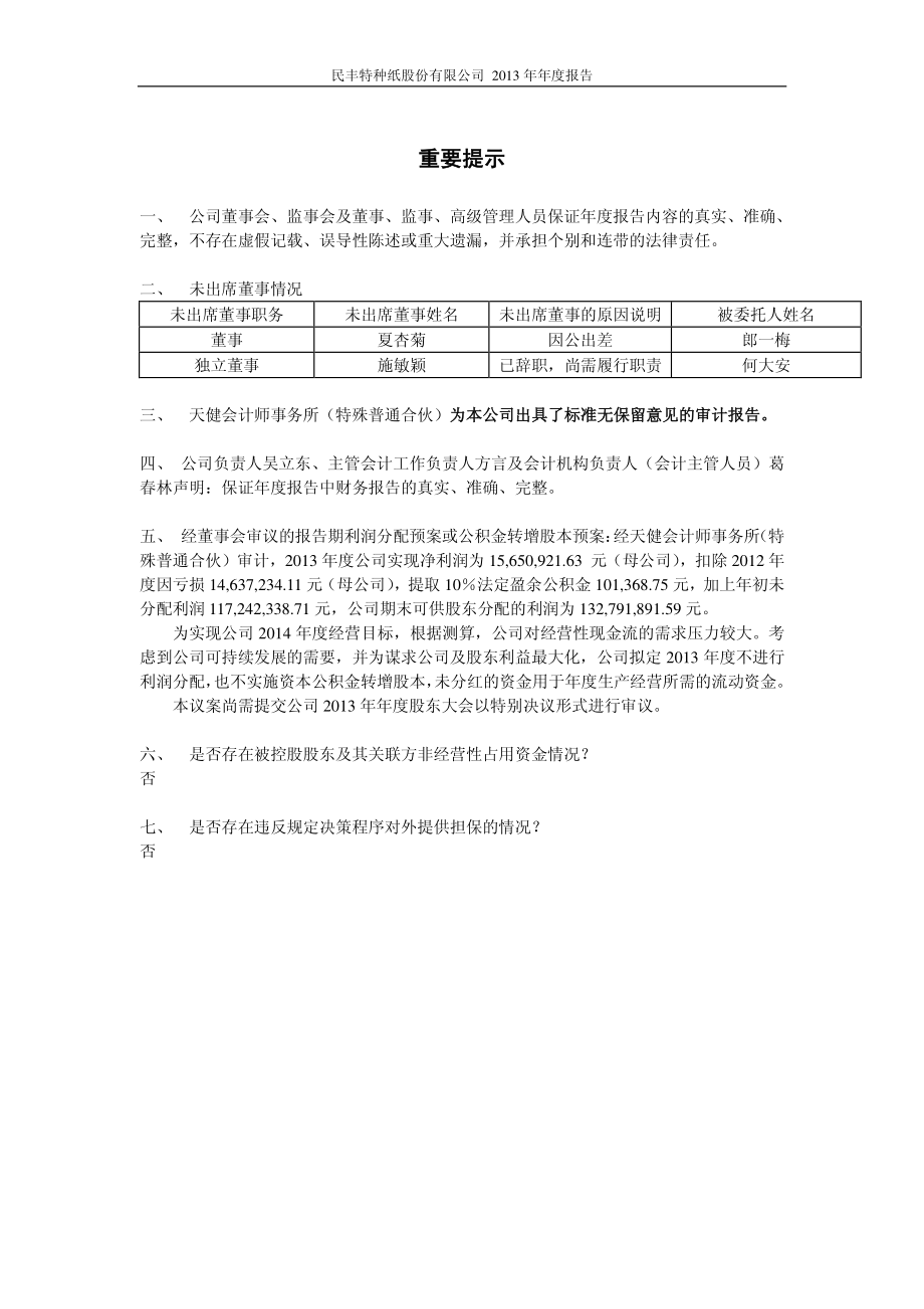 600235_2013_民丰特纸_2013年年度报告_2014-03-19.pdf_第2页