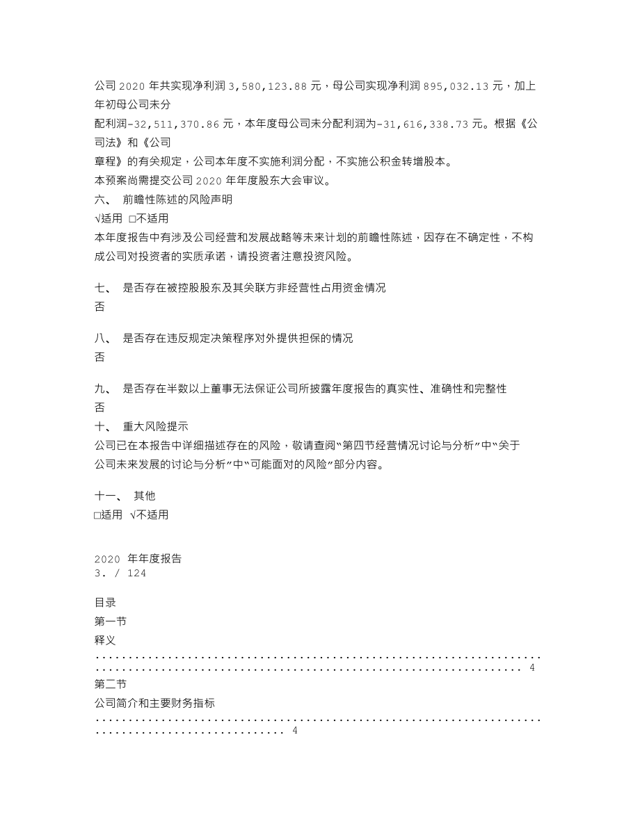 600714_2020_金瑞矿业_2020年年度报告_2021-04-05.txt_第2页