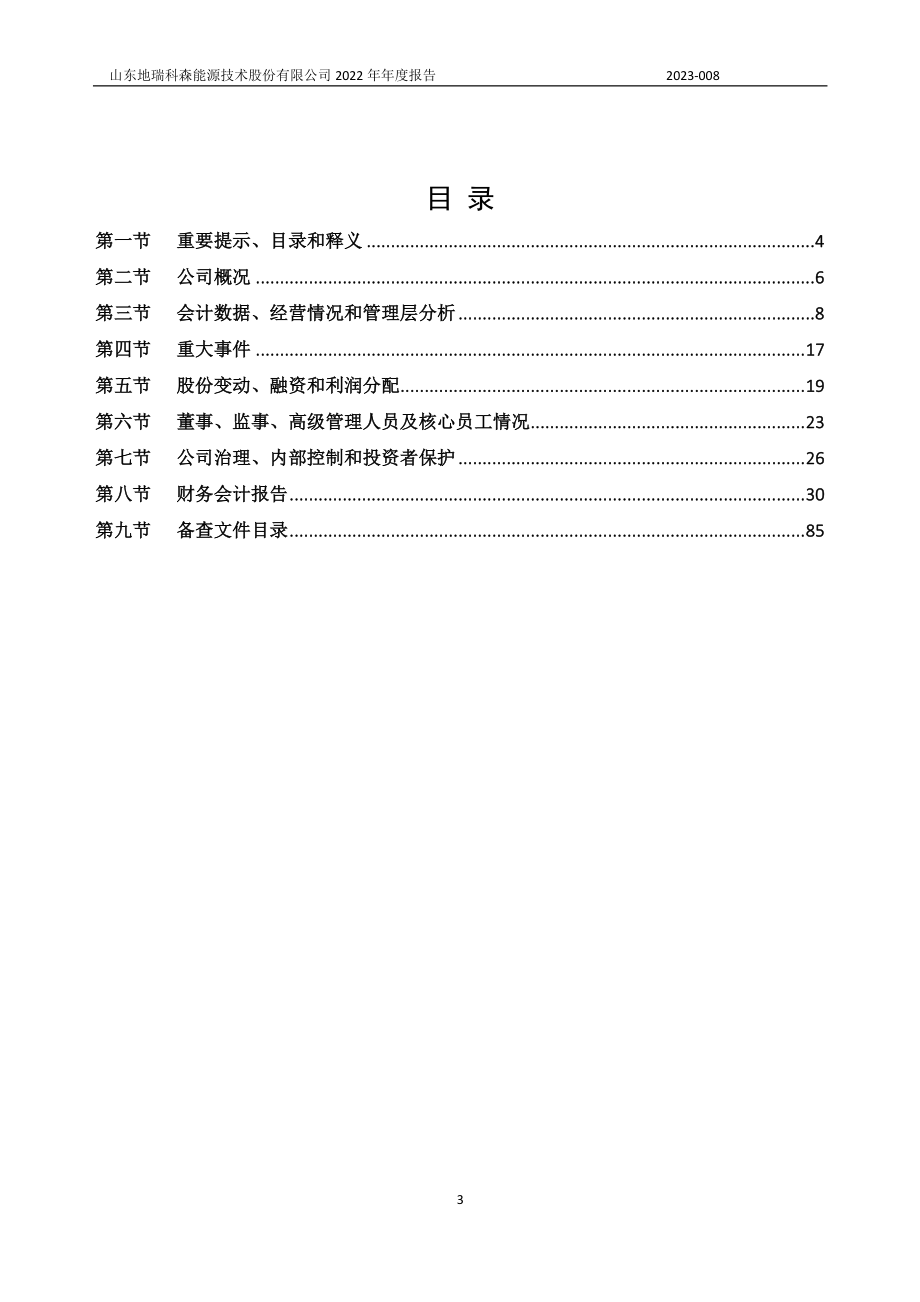 832573_2022_地瑞科森_2022年年度报告_2023-04-13.pdf_第3页